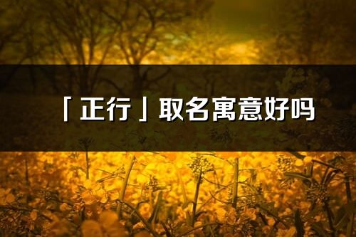 「正行」取名寓意好嗎_正行名字含義及五行