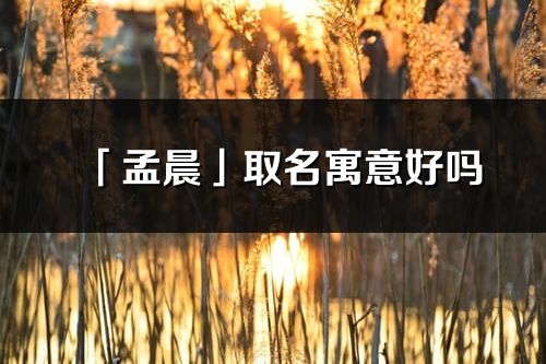 「孟晨」取名寓意好嗎_孟晨名字含義及五行