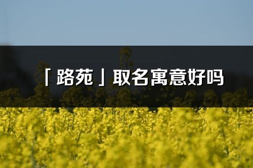 「路苑」取名寓意好嗎_路苑名字含義及五行