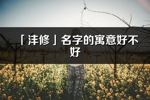 「灃修」名字的寓意好不好_灃修含義分析