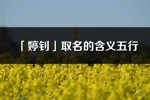 「婷釗」取名的含義五行_婷釗名字寓意解釋