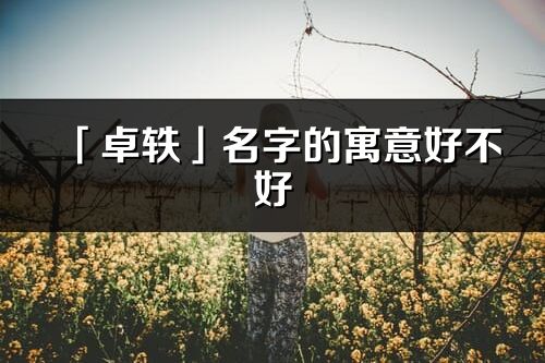 「卓軼」名字的寓意好不好_卓軼含義分析