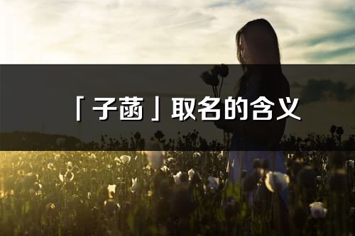 「子菡」取名的含義_子菡名字寓意