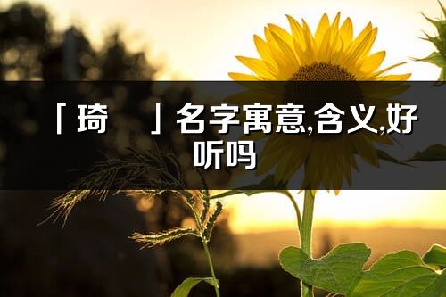 「琦彧」名字寓意,含義,好聽嗎_琦彧名字分析打分