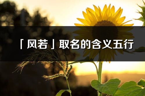 「風(fēng)若」取名的含義五行_風(fēng)若名字寓意解釋