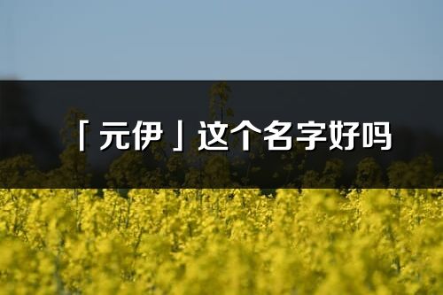 「元伊」這個名字好嗎_元伊名字寓意,含義