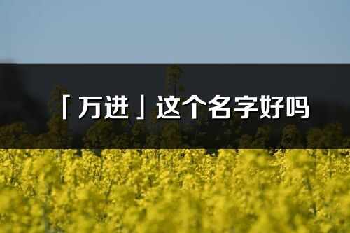 「萬(wàn)進(jìn)」這個(gè)名字好嗎_萬(wàn)進(jìn)名字寓意,含義