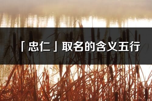 「忠仁」取名的含義五行_忠仁名字寓意解釋