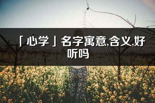 「心學」名字寓意,含義,好聽嗎_心學名字分析打分