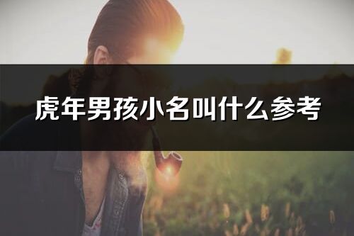 虎年男孩小名叫什么參考