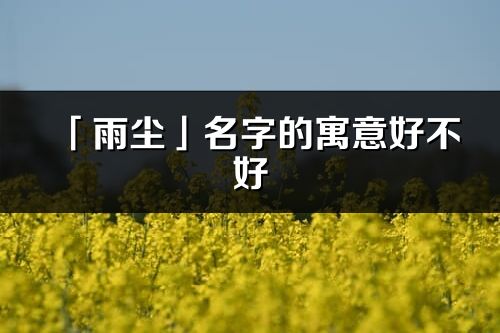 「雨塵」名字的寓意好不好_雨塵含義分析