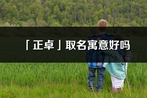 「正卓」取名寓意好嗎_正卓名字含義及五行