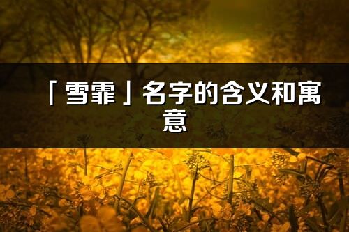 「雪霏」名字的含義和寓意_雪霏的出處與意思解釋