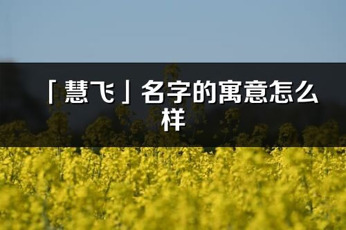 「慧飛」名字的寓意怎么樣_慧飛的出處