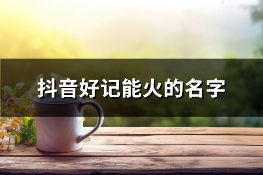 抖音好記能火的名字(共241個)