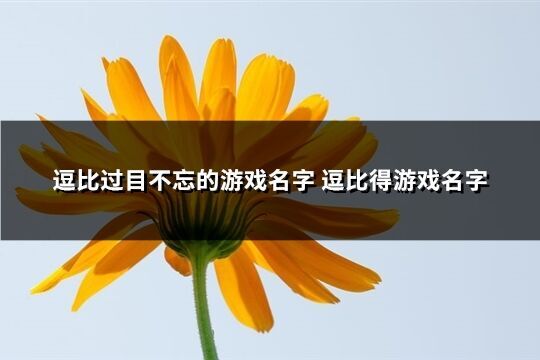 逗比過目不忘的游戲名字 逗比得游戲名字(精選287個)