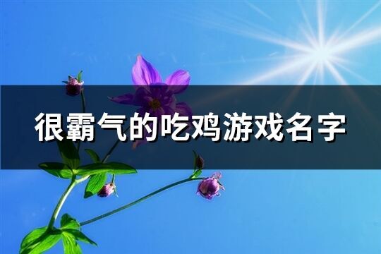 很霸氣的吃雞游戲名字(精選449個)