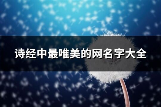 詩經中最唯美的網名字大全(精選124個)