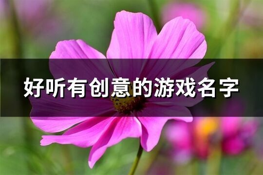 好聽(tīng)有創(chuàng)意的游戲名字(優(yōu)選153個(gè))