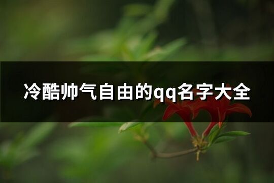 冷酷帥氣自由的qq名字大全(精選249個(gè))