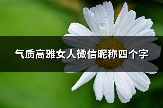 氣質(zhì)高雅女人微信昵稱四個字(精選604個)