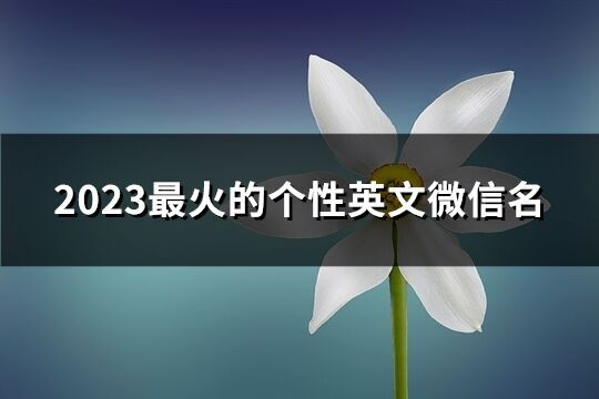 2023最火的個(gè)性英文微信名(精選141個(gè))