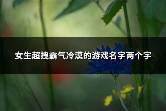 女生超拽霸氣冷漠的游戲名字兩個字(280個)