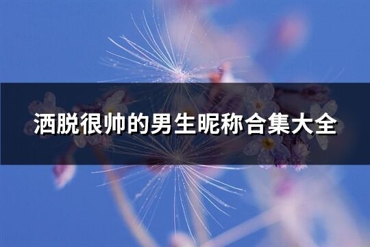 灑脫很帥的男生昵稱合集大全(優選141個)