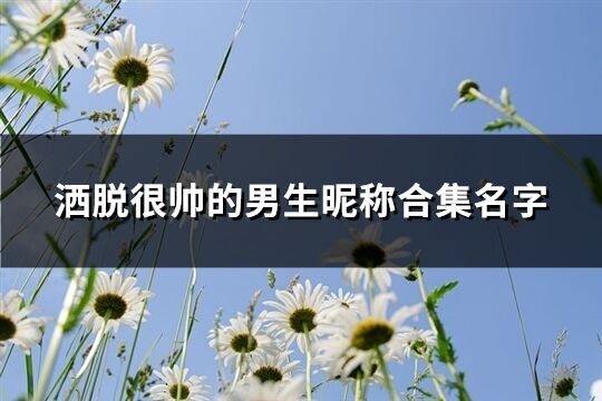 灑脫很帥的男生昵稱合集名字(優選138個)