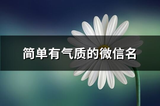 簡(jiǎn)單有氣質(zhì)的微信名(精選567個(gè))