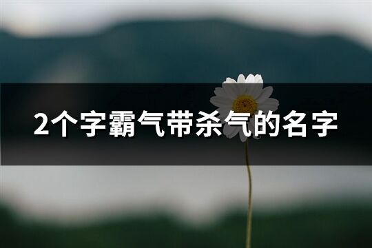 2個字霸氣帶殺氣的名字(精選424個)