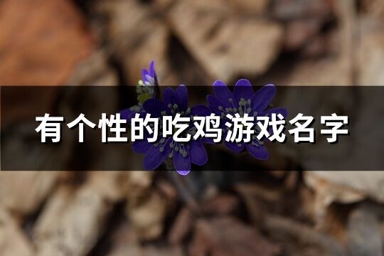 有個性的吃雞游戲名字(339個)