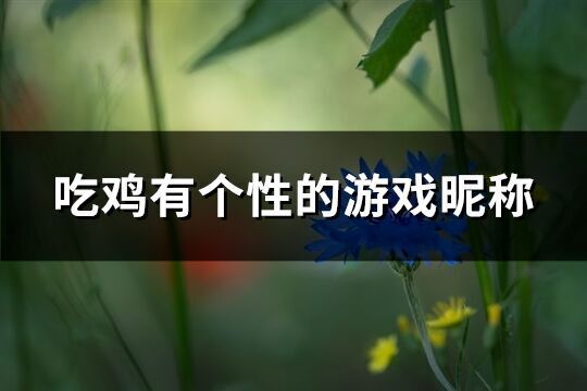 吃雞有個性的游戲昵稱(共194個)