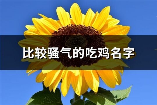 比較騷氣的吃雞名字(326個)