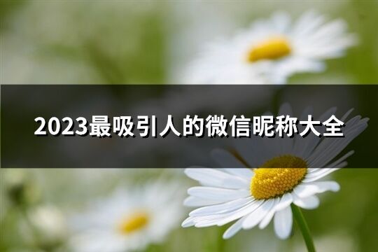 2023最吸引人的微信昵稱(chēng)大全(1057個(gè))