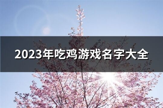 2023年吃雞游戲名字大全(精選306個)