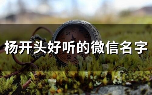 楊開頭好聽的微信名字(精選117個)