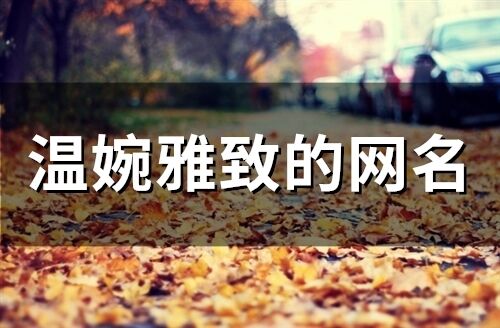 溫婉雅致的網(wǎng)名(278個)