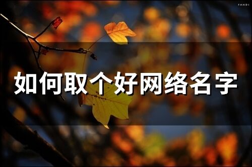 如何取個好網絡名字(精選158個)