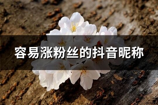 容易漲粉絲的抖音昵稱(共333個)