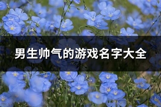 男生帥氣的游戲名字大全(共278個)