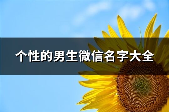 個性的男生微信名字大全(531個)