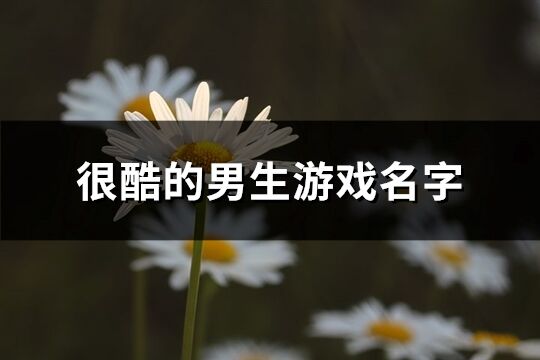 很酷的男生游戲名字(462個)