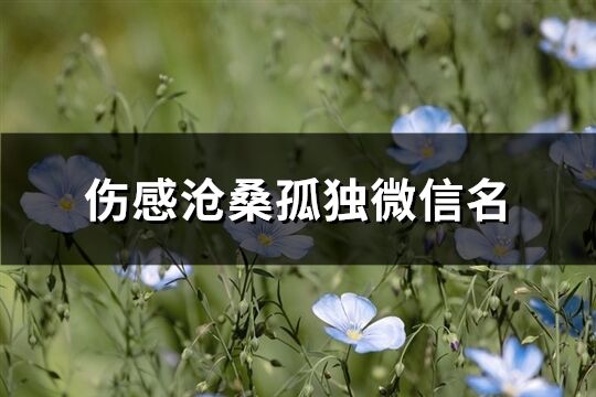 傷感滄桑孤獨微信名(精選203個)