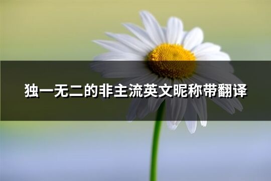 獨(dú)一無(wú)二的非主流英文昵稱帶翻譯(精選100個(gè))