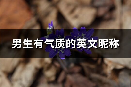 男生有氣質的英文昵稱(優選78個)