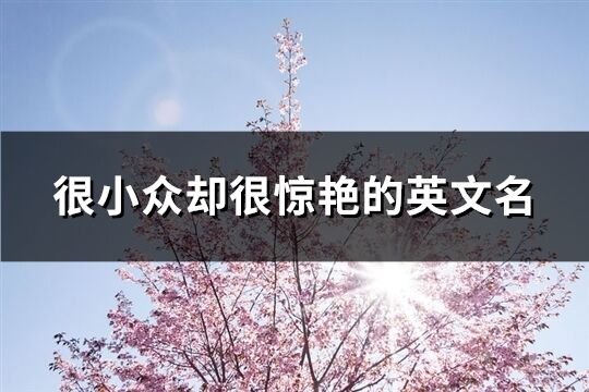 很小眾卻很驚艷的英文名(140個(gè))