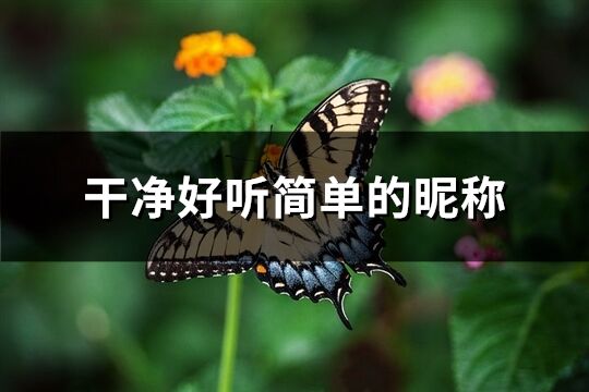 干凈好聽簡單的昵稱(優(yōu)選1140個)