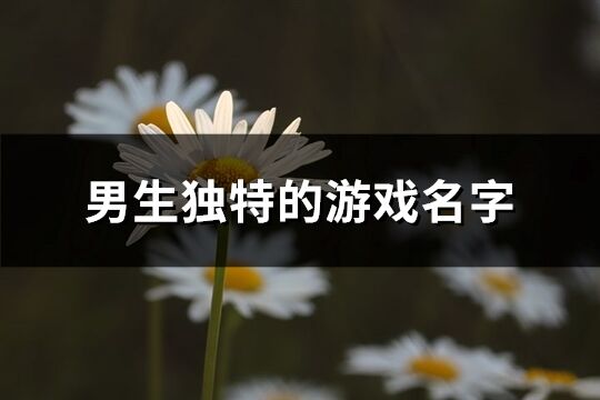 男生獨特的游戲名字(共251個)