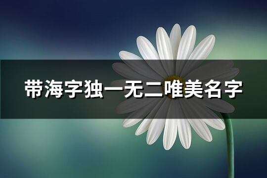 帶海字獨(dú)一無(wú)二唯美名字(共85個(gè))